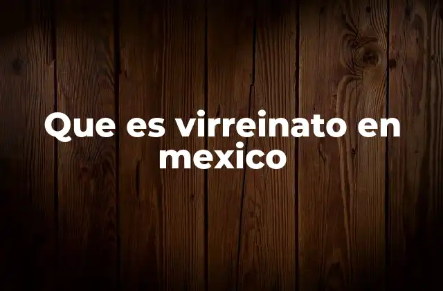 Que es Virreinato en Mexico