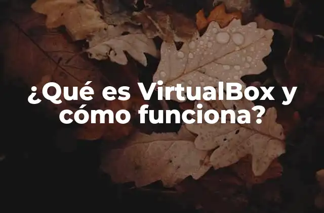 ¿qué es Virtualbox y Cómo Funciona?