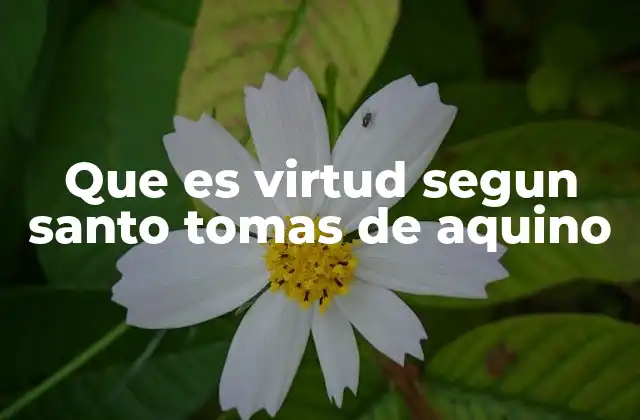 Que es Virtud Segun Santo Tomas de Aquino