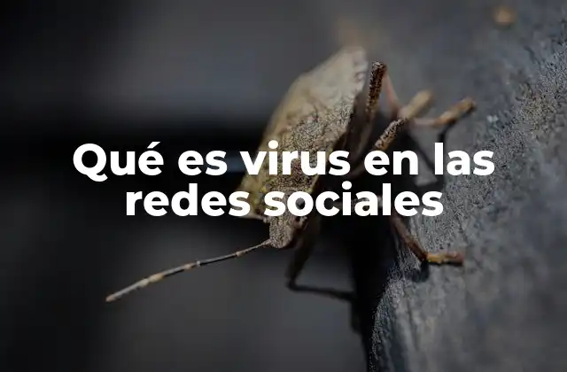 Qué es Virus en las Redes Sociales 2 Cómo funciona la viralidad en las redes sociales