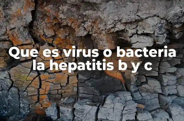 Que es Virus o Bacteria la Hepatitis B y C
