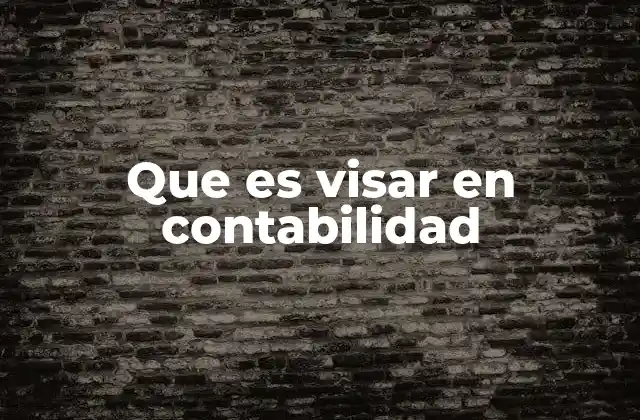 Que es Visar en Contabilidad
