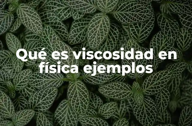 Qué es Viscosidad en Física Ejemplos