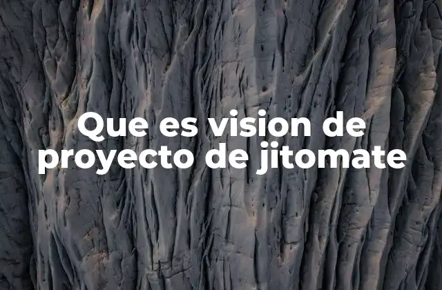 Que es Vision de Proyecto de Jitomate