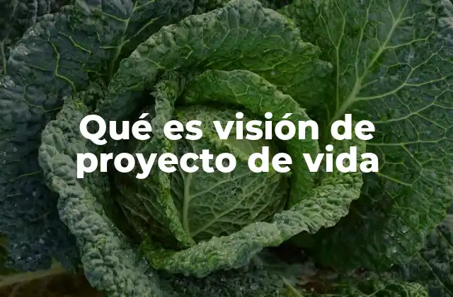 Qué es Visión de Proyecto de Vida