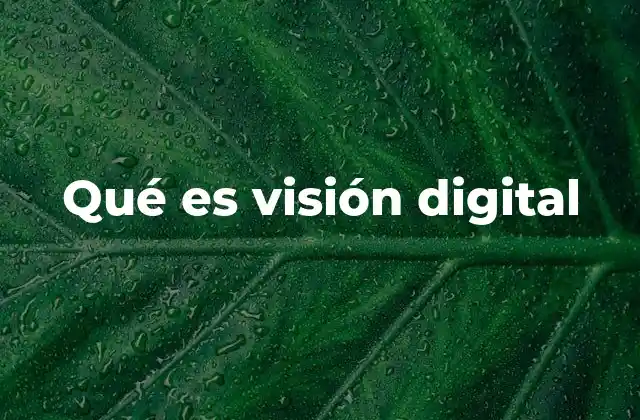 Qué es Visión Digital