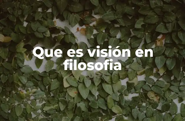 Que es Visión en Filosofia