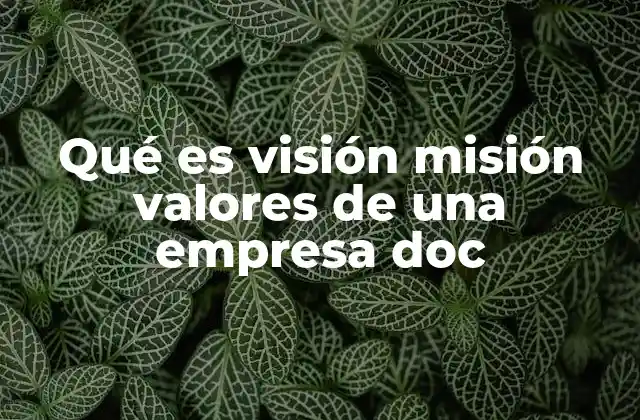 Qué es Visión Misión Valores de una Empresa Doc