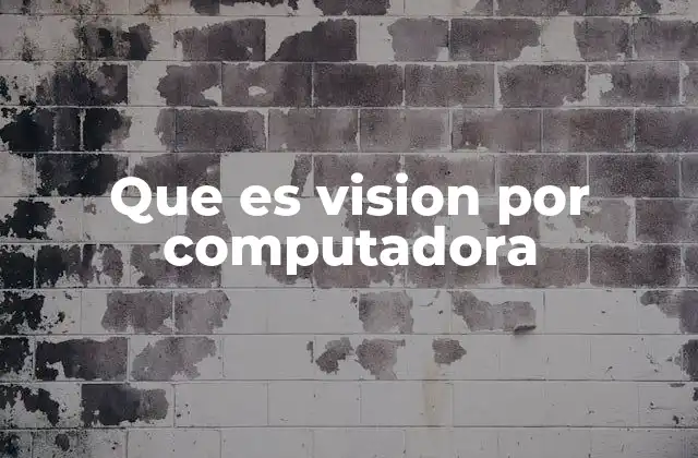 Que es Vision por Computadora