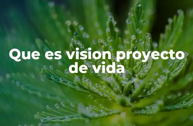 Que es Vision Proyecto de Vida