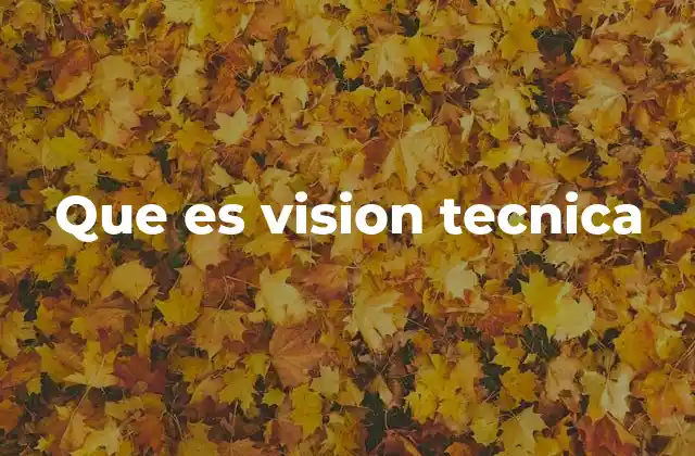 Que es Vision Tecnica