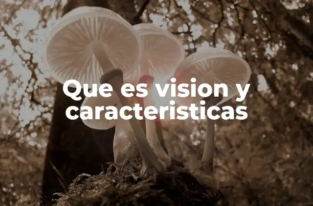 Que es Vision y Caracteristicas