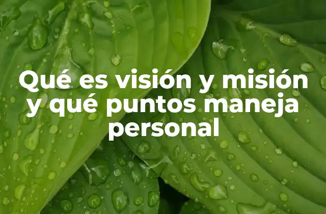 Qué es Visión y Misión y Qué Puntos Maneja Personal 2 La importancia de la alineación entre visión, misión y objetivos personales