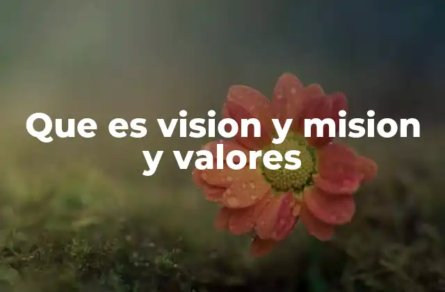 Que es Vision y Mision y Valores