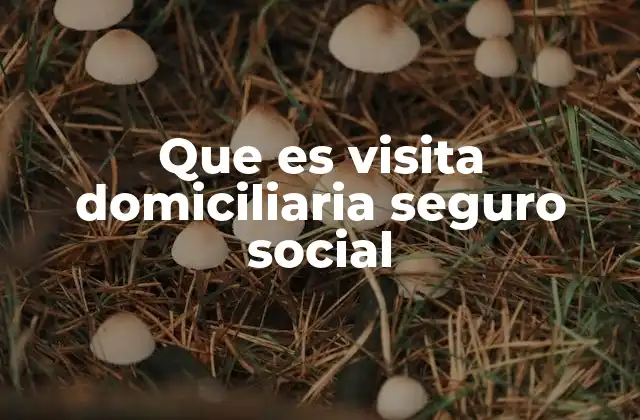 Que es Visita Domiciliaria Seguro Social