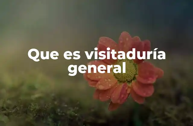 Que es Visitaduría General