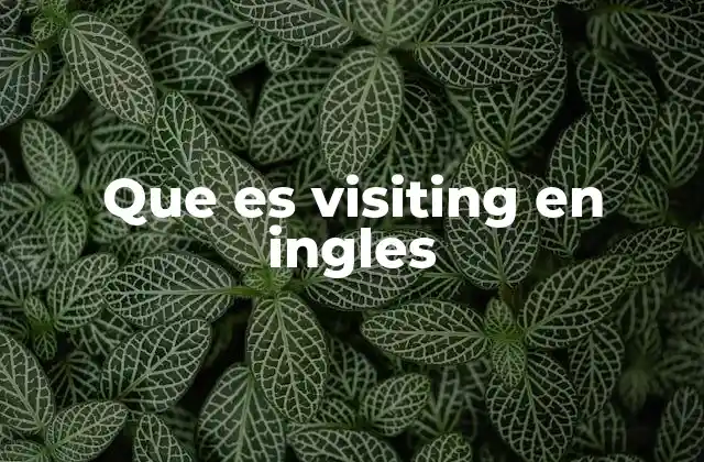 Que es Visiting en Ingles