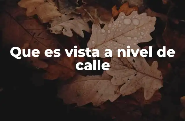 Que es Vista a Nivel de Calle