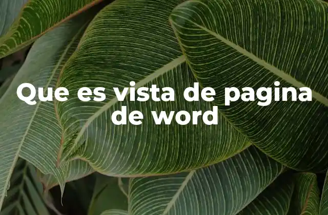 Que es Vista de Pagina de Word