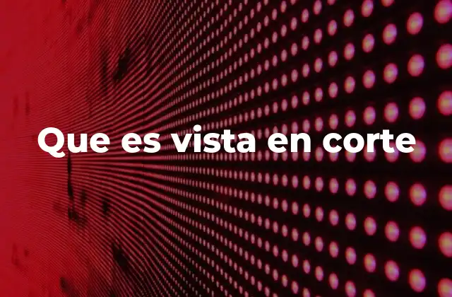 Que es Vista en Corte