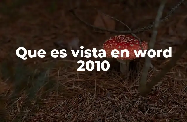 Que es Vista en Word 2010
