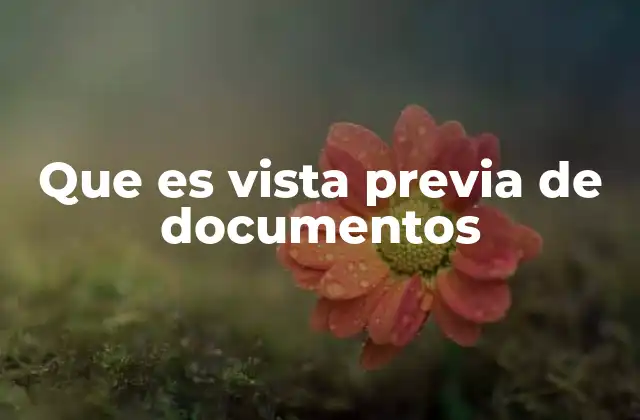 Que es Vista Previa de Documentos