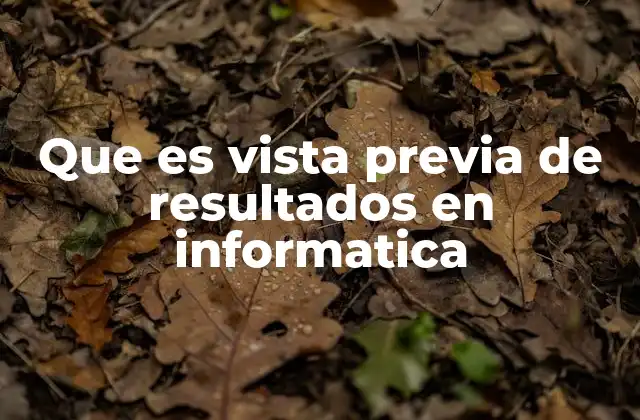 Que es Vista Previa de Resultados en Informatica