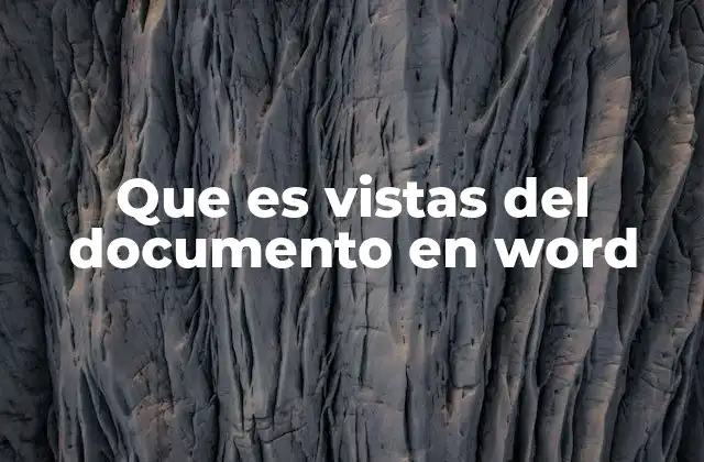 Que es Vistas Del Documento en Word