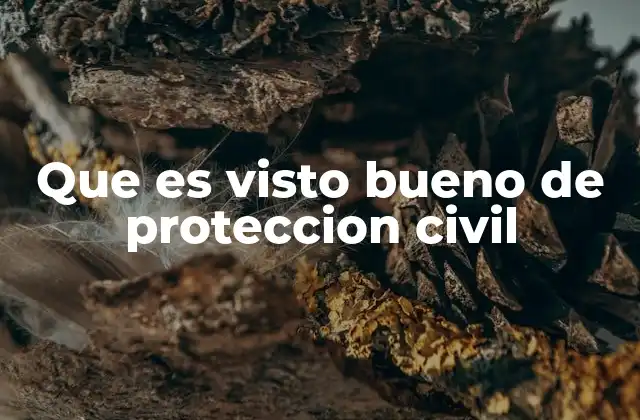 Que es Visto Bueno de Proteccion Civil