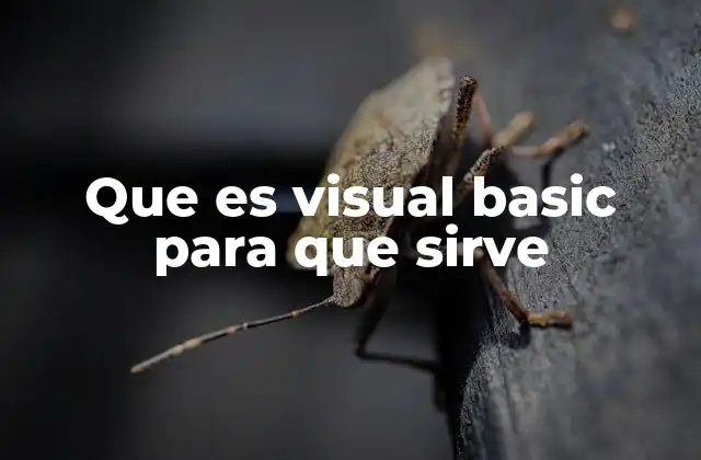 Que es Visual Basic para que Sirve