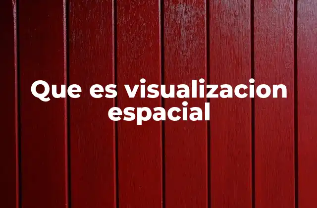Que es Visualizacion Espacial