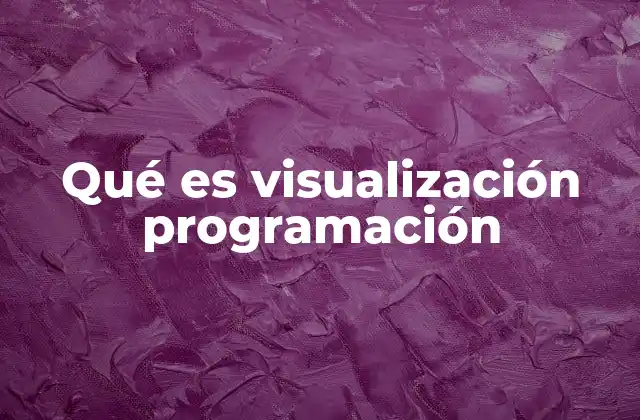 Qué es Visualización Programación