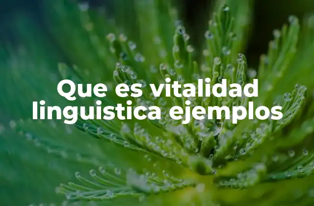Que es Vitalidad Linguistica Ejemplos