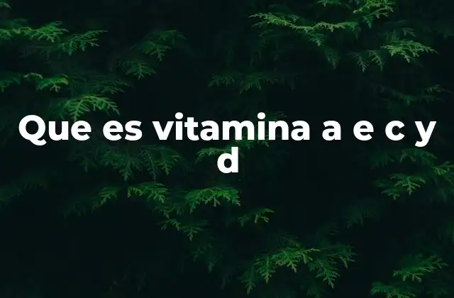 Funciones clave de las vitaminas A, E, C y D en el cuerpo