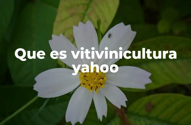 Que es Vitivinicultura Yahoo 2 La importancia de la vitivinicultura en la economía global