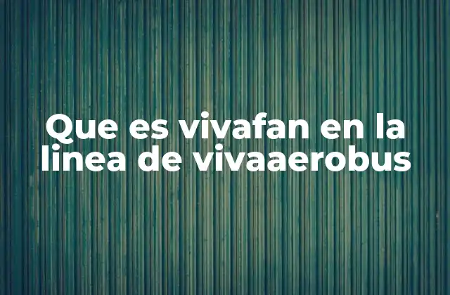 Que es Vivafan en la Linea de Vivaaerobus