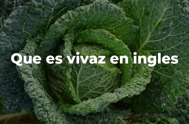 Que es Vivaz en Ingles