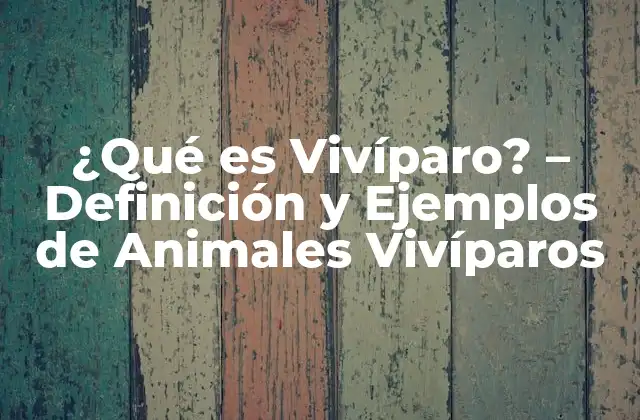 ¿qué es Vivíparo? – Definición y Ejemplos de Animales Vivíparos