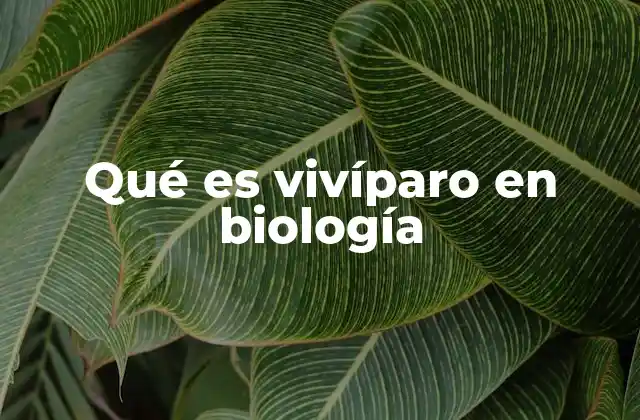 Qué es Vivíparo en Biología