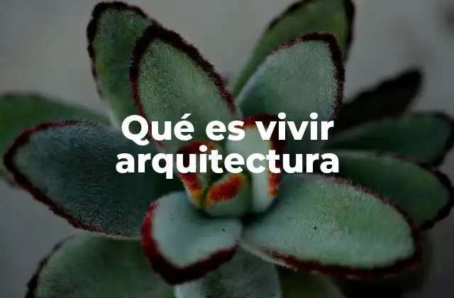 Qué es Vivir Arquitectura