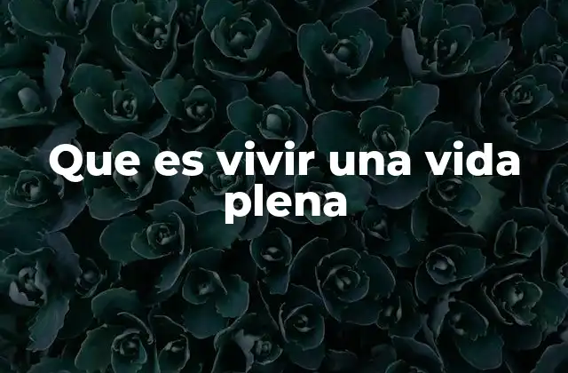 Que es Vivir una Vida Plena