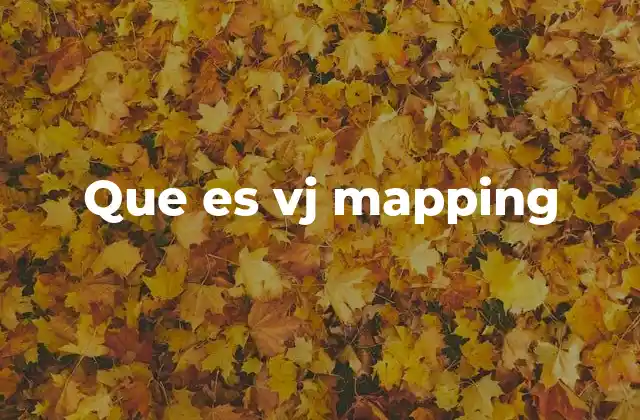 Que es Vj Mapping