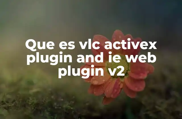 Que es Vlc Activex Plugin And Ie Web Plugin V2