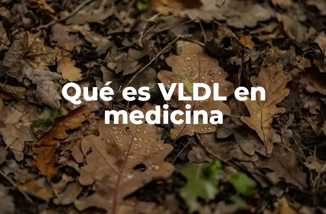 Qué es Vldl en Medicina