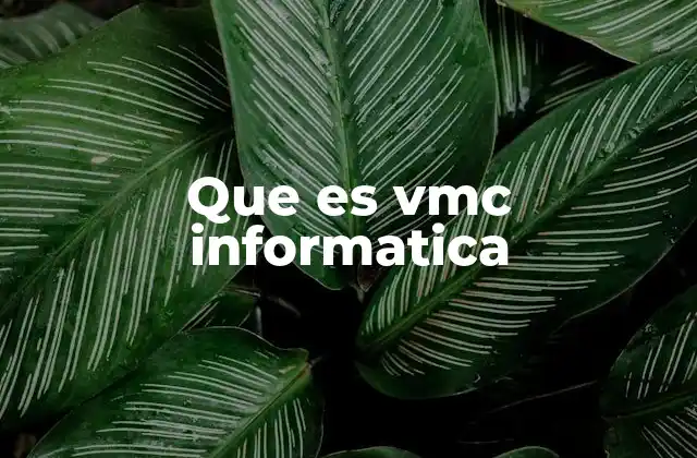Que es Vmc Informatica