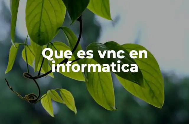 Cómo funciona VNC sin mencionar directamente el término