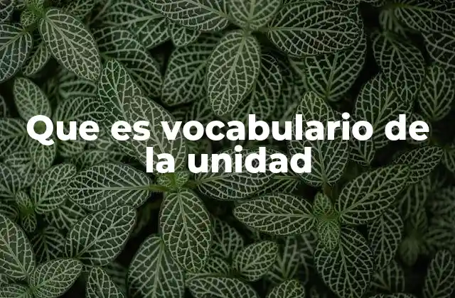 Que es Vocabulario de la Unidad