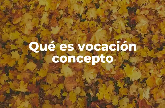 Qué es Vocación Concepto