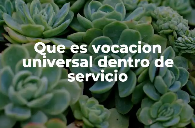 Que es Vocacion Universal Dentro de Servicio