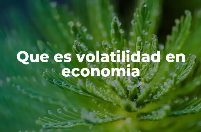 Que es Volatilidad en Economia